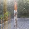 Finnenkerze